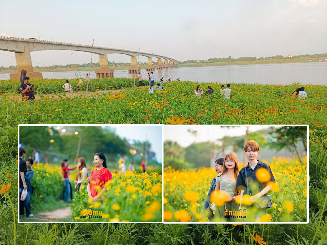 ចម្ការផ្កាស្បៃរឿងរបស់រដ្ឋបាលខេត្តកំពង់ចាម នៅតែទាក់ទាញបេះដូងអ្នកស្រឡាញ់រូបថត