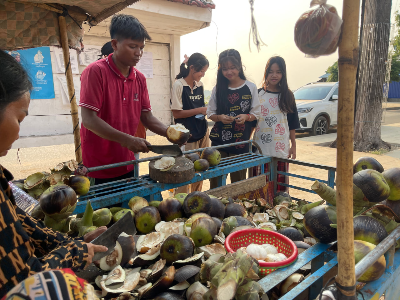 របរលក់ផ្លែត្នោតខ្ចីទទួលបានការគាំទ្រទាំងអ្នកទេសចរ និងពលរដ្ឋខ្មែរ ដោយទទួលប្រាក់កម្រៃប្រមាណ ៤ម៉ឺនរៀលក្នុងមួយថ្ងៃ