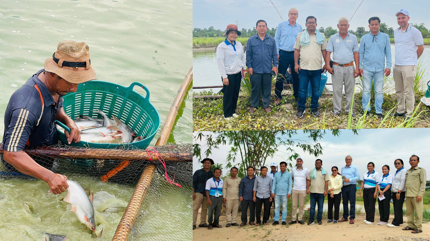 មន្រ្តីជាន់ខ្ពស់ក្រសួងកសិកម្មចុះណែនាំដល់ម្ចាស់កសិដ្ឋានចិញ្ចឹមត្រី និងការគ្រប់គ្រងបច្ចេកទេសវារីវប្បកម្មដើម្បីទទួលបានទិន្នផល និងចំណូលខ្ពស់