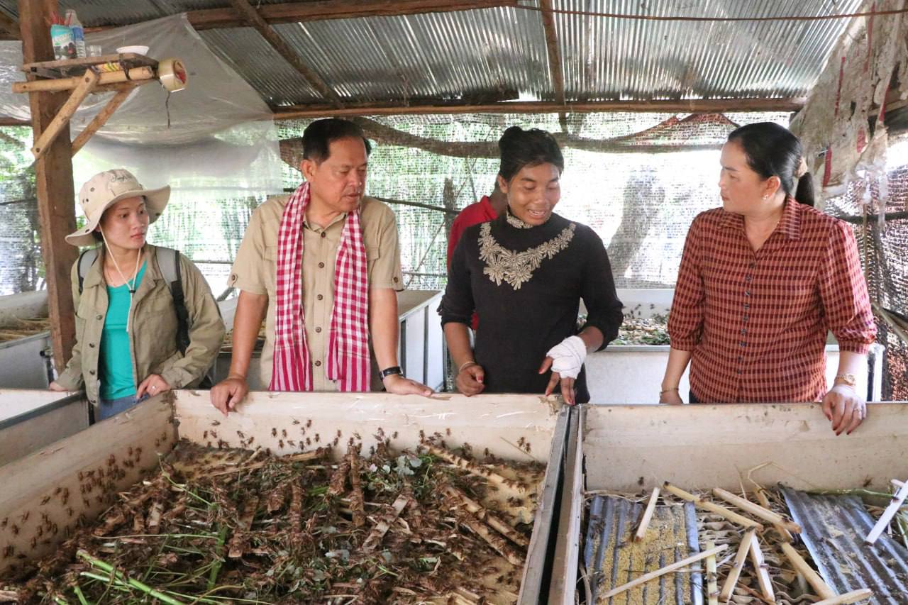 កសិករ១៣គ្រួសារ ទទួលបានចំណូលច្រើនពីការចិញ្ចឹមសត្វចង្រិត និងកណ្ដូប