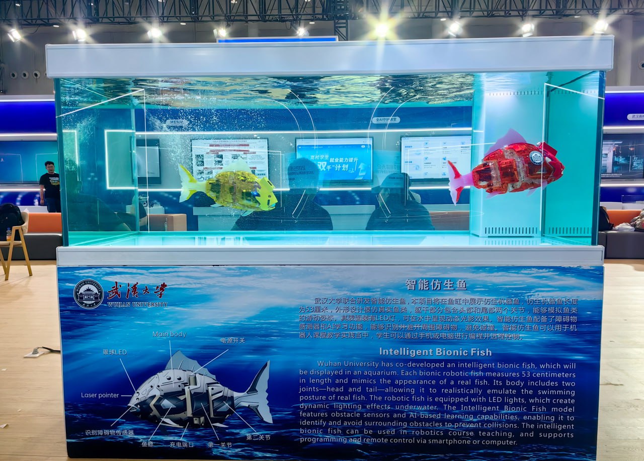 ចិនប្រើត្រីយន្តបំពាក់ AI ការពារទន្លេ Yangze