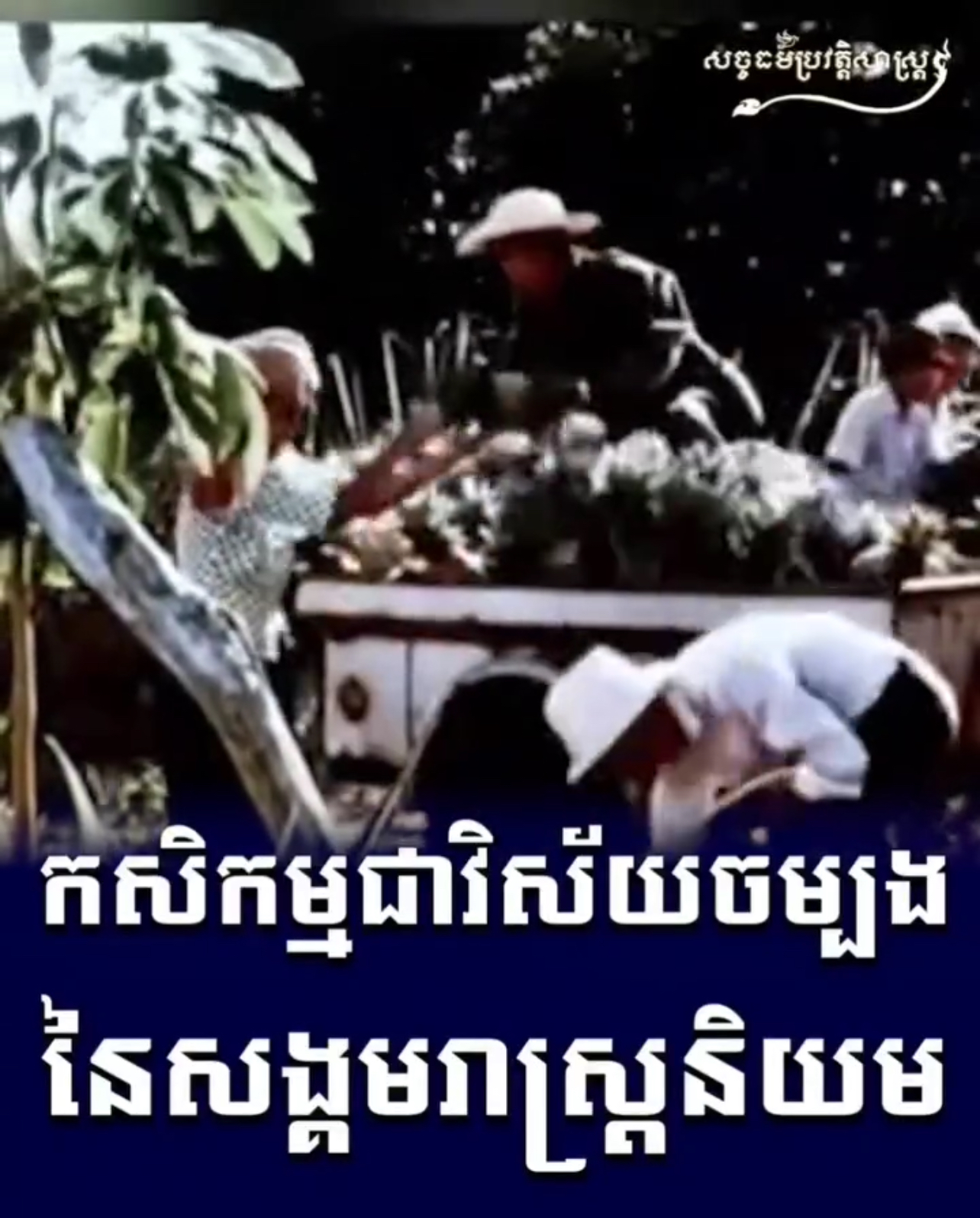 វីដេអូ៖ កសិកម្មជាវិស័យចម្បងនៃសង្គមរាស្រ្តនិយម