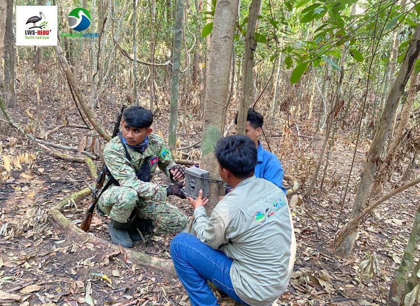 តម្លើងកាមេរ៉ាស័្វយប្រវត្តកាន់តែច្រើនដើម្បីតាមដានសត្វព្រៃនៅទីតាំងអនុវត្តគម្រោងរេដបូក លំផាត់