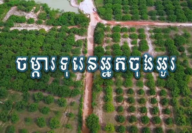 ចម្ការទុរេនអ្នកចុងអូរ 🌳🍃