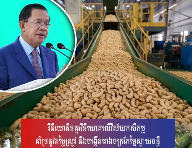 វិនិយោគិនគួរវិនិយោគលើវិស័យកសិកម្ម គាំទ្រនូវតម្លៃស្រូវ និងបង្កើតរោងចក្រកែច្នៃស្វាយចន្ទី
