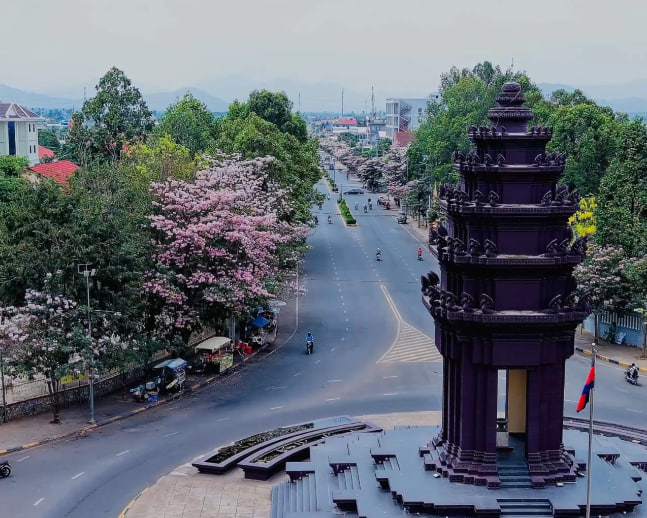 សម្រស់ផ្កាជម្ពូទេព 🌸🌸