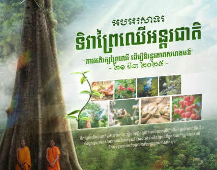 អបអរសាទរ ទិវាព្រៃឈើអន្តរជាតិ ២១​ មីនា ២០២៥