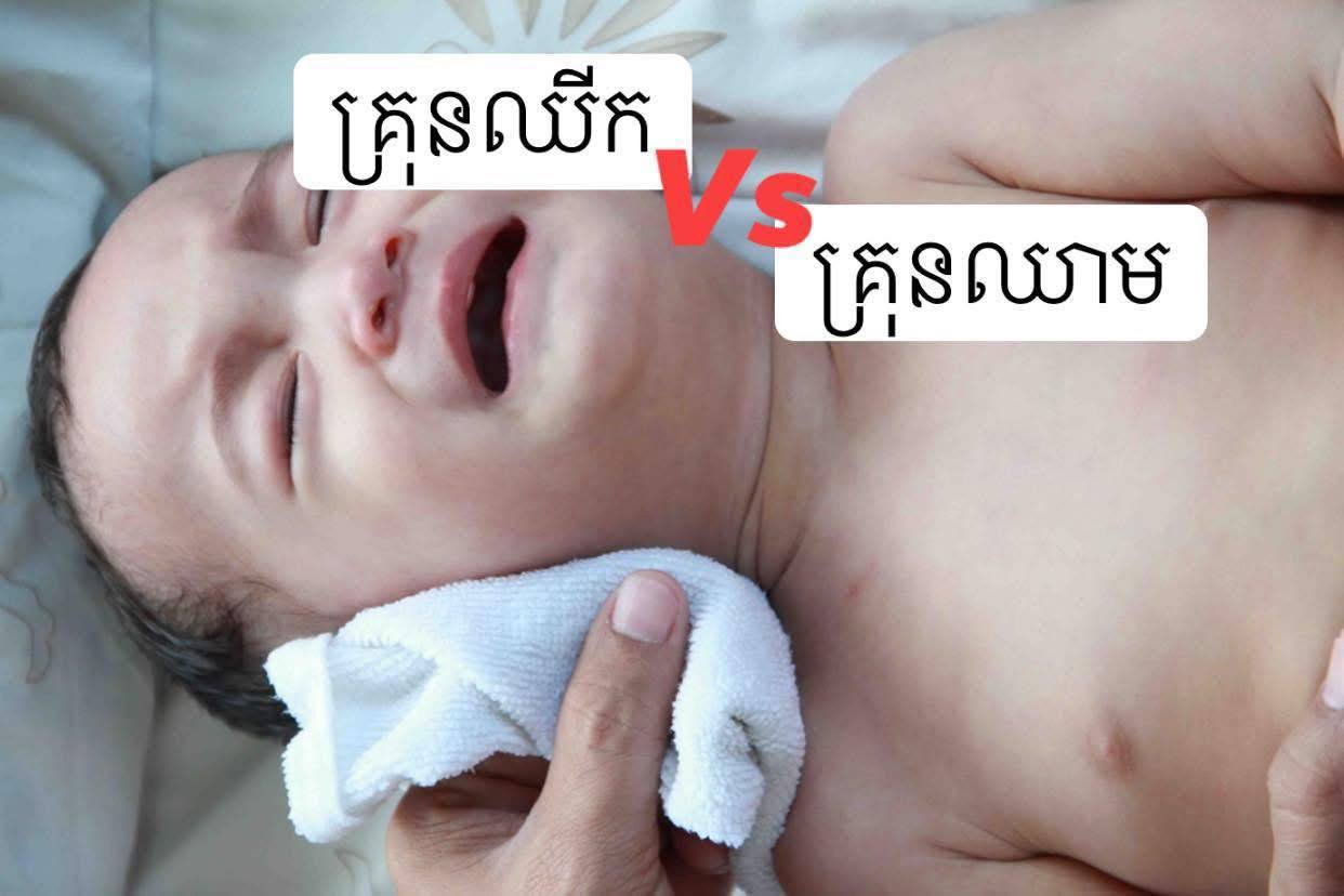គ្រុនឈីក និងគ្រុនឈាម ខុសគ្នាម៉េចខ្លះ? មួយណាធ្ងន់ធ្ងរជាង?