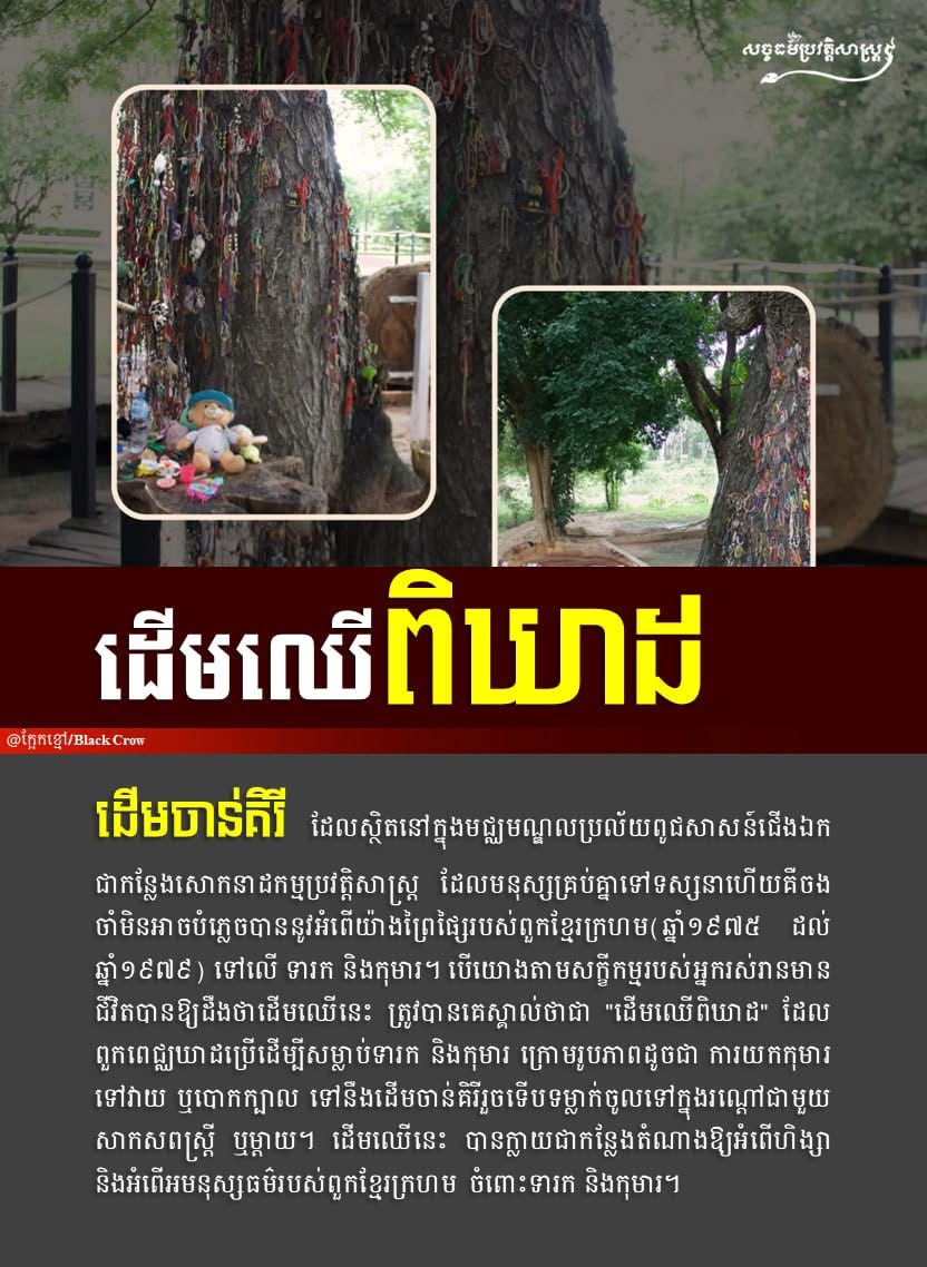 ដើមចាន់គិរី ដែលស្ថិតនៅខាងកើតស្តូបក្នុងមជ្ឈមណ្ឌលប្រល័យពូជសាសន៍ជើងឯក