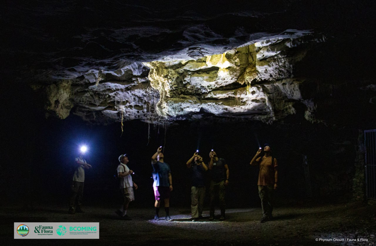 អ្នកវិទ្យាសាស្រ្តរកឃើញប្រភេទជីវៈចម្រុះ ៣ប្រភេទ កំណត់ត្រាថ្មីសម្រាប់ពិភពលោកនៅតំបន់ថ្មកំបោរ ក្នុងប្រទេសកម្ពុជា