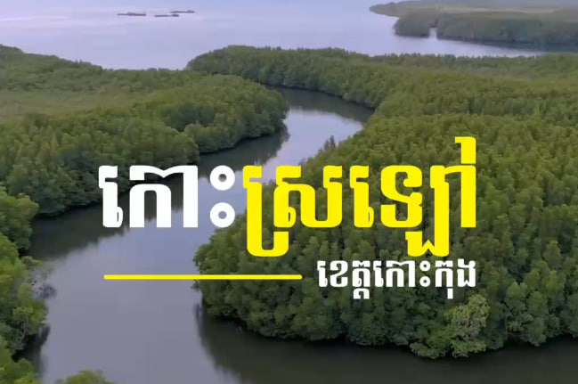 កោះស្រឡៅ ខេត្តកោះកុង