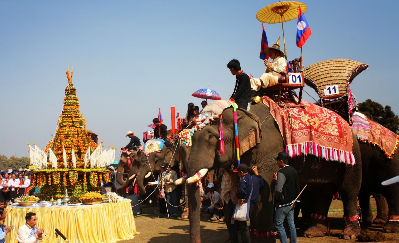 ឡាវពង្រឹងការអភិរក្សសត្វដំរីនៅក្នុងខេត្តភាគខាងជើង