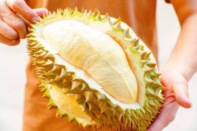ទូតចិន ៖ ការដឹកជញ្ជូនទុរេនកម្ពុជាតាមផ្លូវអាកាសទៅកាន់ទីផ្សារប្រទេសចិន អាចរក្សាបាននូវគុណភាព និងរសជាតិ