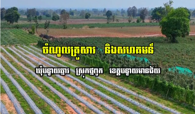 ផលដំណាំរបស់អ្នកបន្ទាយឆ្មារ