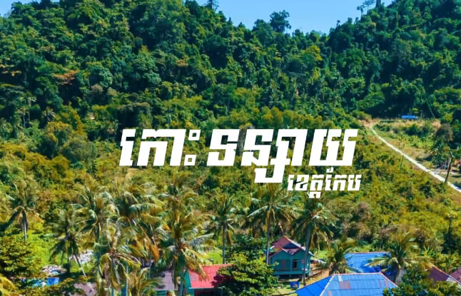 កោះទន្សាយ ខេត្តកែប