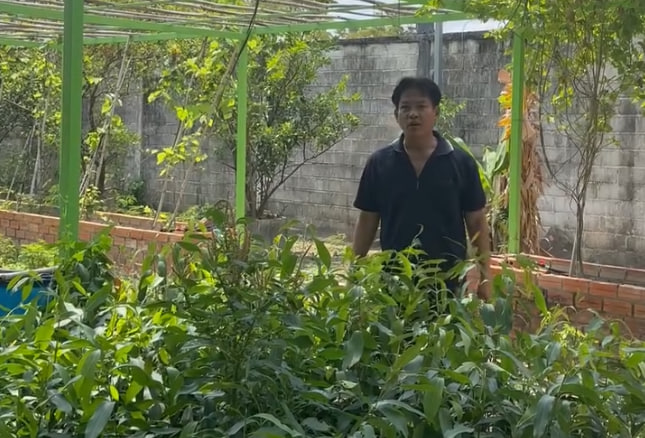 មុខផ្ទះក្រពះអ្នកស្រុក