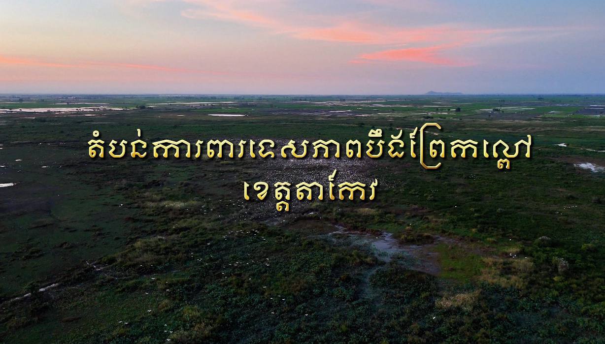 ព្រៃលិចទឹក ផ្តល់ផលប្រយោជន៍សំខាន់ក្នុងការថែរក្សាគុណភាពទឹក គ្រប់គ្រងការ​ហូរច្រោះដី ផ្តល់ជាទីជម្រក សត្វស្លាប និង មច្ឆាជាច្រើនប្រភេទ