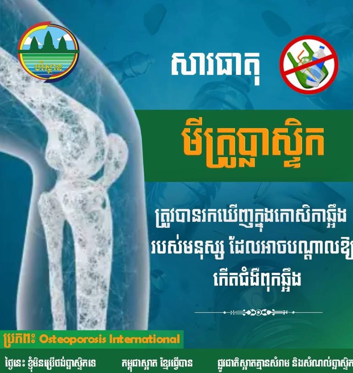 តើផលប៉ះពាល់ នៃ សារធាតុប្លាស្ទិកទៅលើឆ្អឹងរបស់មនុស្សយើងមានអ្វីខ្លះ?