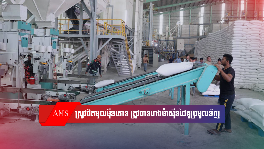 បរិមាណស្រូវសើមជិតមួយម៉ឺនតោន ត្រូវបានរោងម៉ាស៊ីនដៃគូជាមួយក្រសួងកសិកម្មប្រមូលទិញពីកសិករនៅទូទាំងប្រទេស