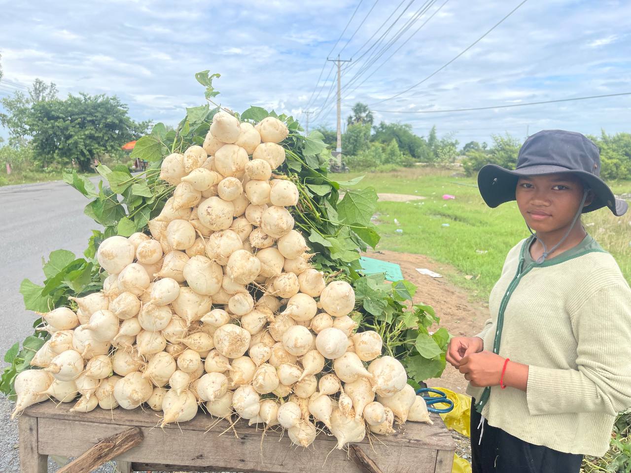 “ប៉ិកួៈ” បានក្លាយជាដំណាំរកចំណូលកាក់កបគួរសម សម្រាប់ពលរដ្ឋរស់នៅ ភ្នំប្រសិទ្ធ