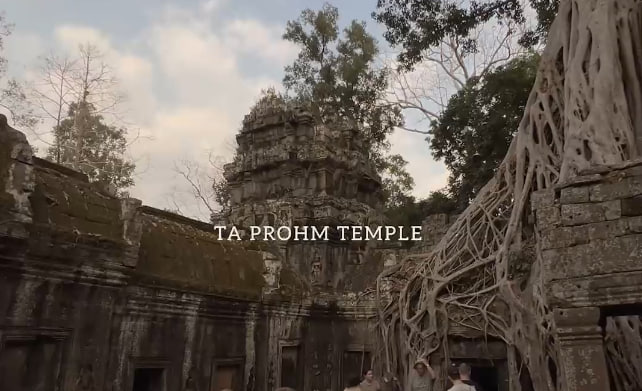 ប្រាសាទតាព្រហ្ម​