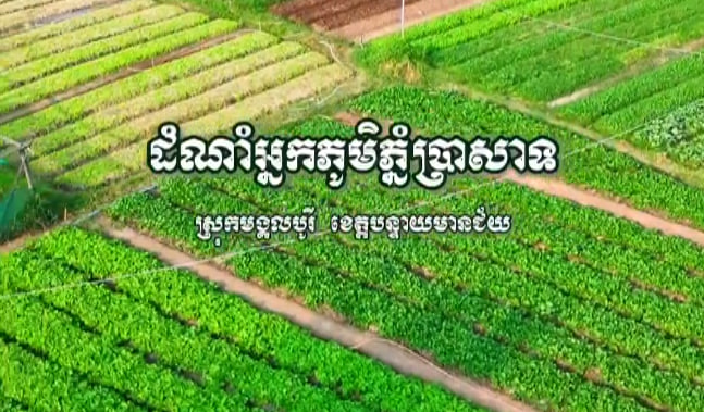 ដំណាំអ្នកភូមិភ្នំប្រាសាទ