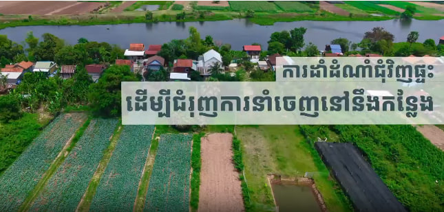 ចំការបន្លែអ្នកភូមិដីឥដ្ឋកោះផុស 🥬🥦🇰🇭