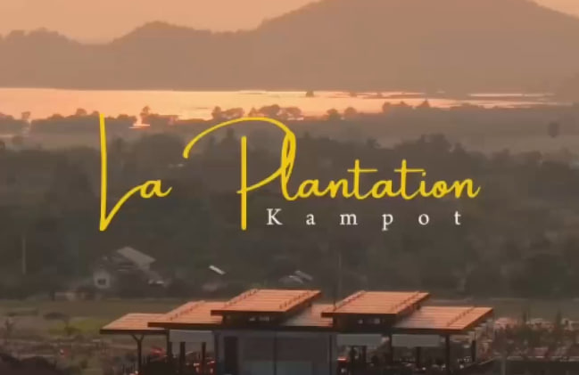 ចម្ការម្រេចឡាផ្លេនថេសិន (La plantation)