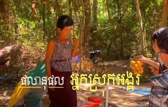 ផល្លានុផល អ្នកស្រុកអង្គរ ខេត្ត​សៀមរាប​