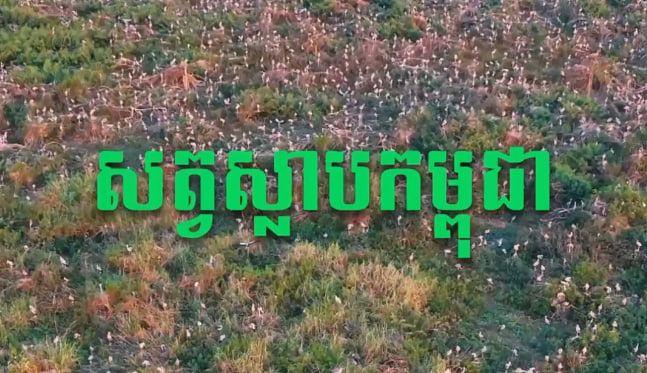 តំបន់ការពារធម្មជាតិបឹងព្រែកល្ពៅ