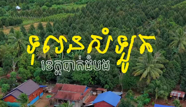 ទុរេនសំឡូត ខេត្តបាត់ដំបង