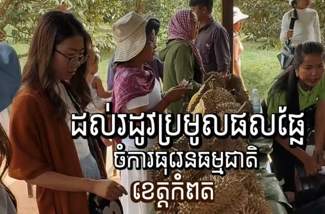 ផល្លានុផល ខេត្តកំពត