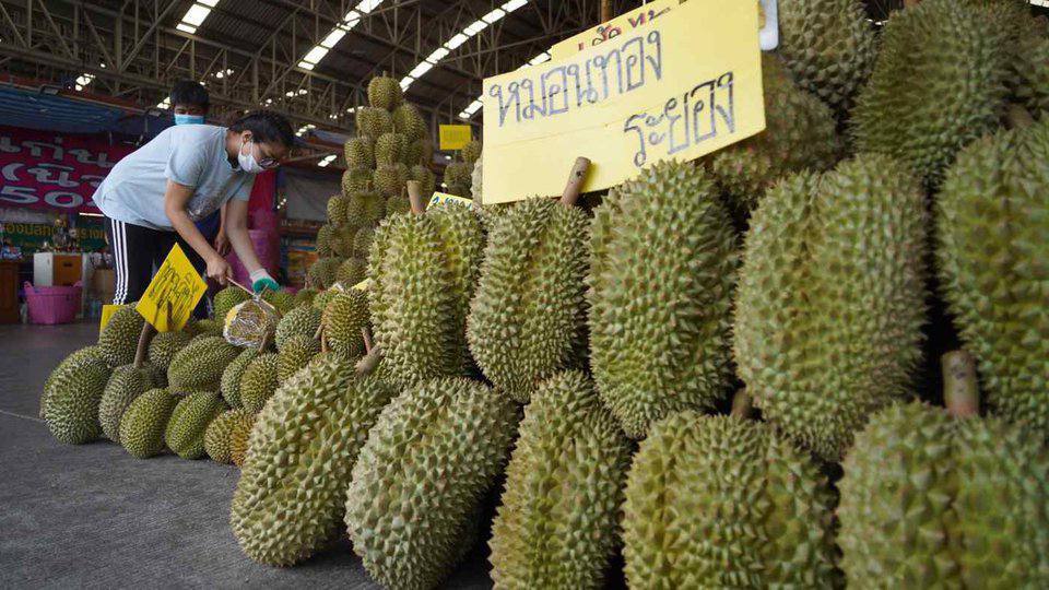កម្ពុជាសម្រេចបិទការនាំចូលបន្លែ និងផ្លែឈើរបស់ថៃតាមព្រំដែនទាំងអស់ បន្ទាប់ពីផុតឱសានវាទ ២៤ម៉ោង