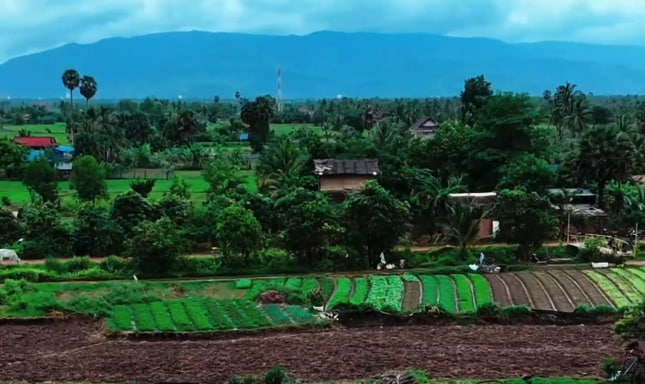 ចម្ការបន្លែចម្រុះអ្នកស្រុកទឹកឈូ