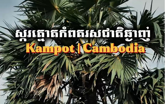ផលិតផលស្ករត្នោត របស់បងប្អូនប្រជាពលរដ្ឋស្រុកទឹកឈូ ខេត្តកំពត