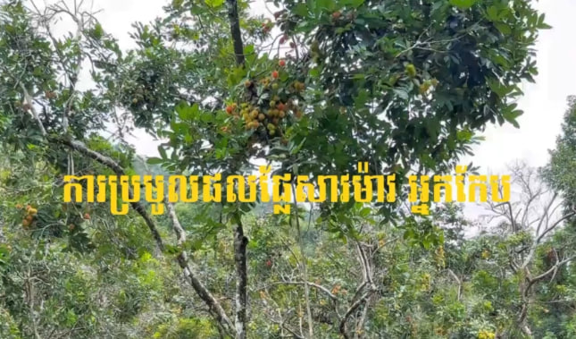 សាវម៉ាវកែប 🥰