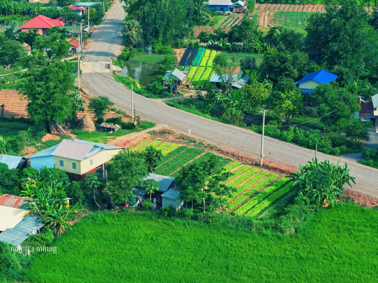 ទួលស្បូវ 🏡🍃