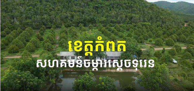 សហគមន៍ចម្ការស្តេចទុរេន​