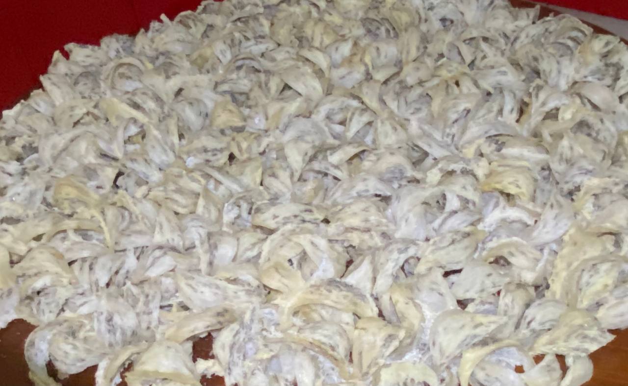 កម្ពុជារំពឹងនាំចេញសំបុកត្រចៀកកាំទៅចិនជាផ្លូវការ នៅពាក់កណ្តាលឆ្នាំនេះ