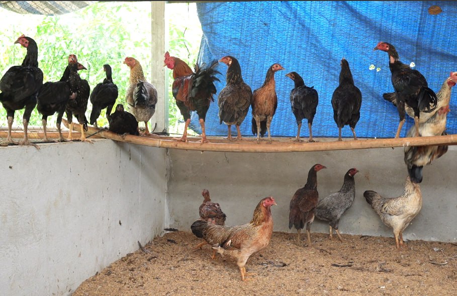 ក្រសួងពាណិជ្ជកម្មបញ្ចេញជំនួយ ១,៥លានដុល្លារសម្រាប់ជួយកសិករខ្នាតតូច