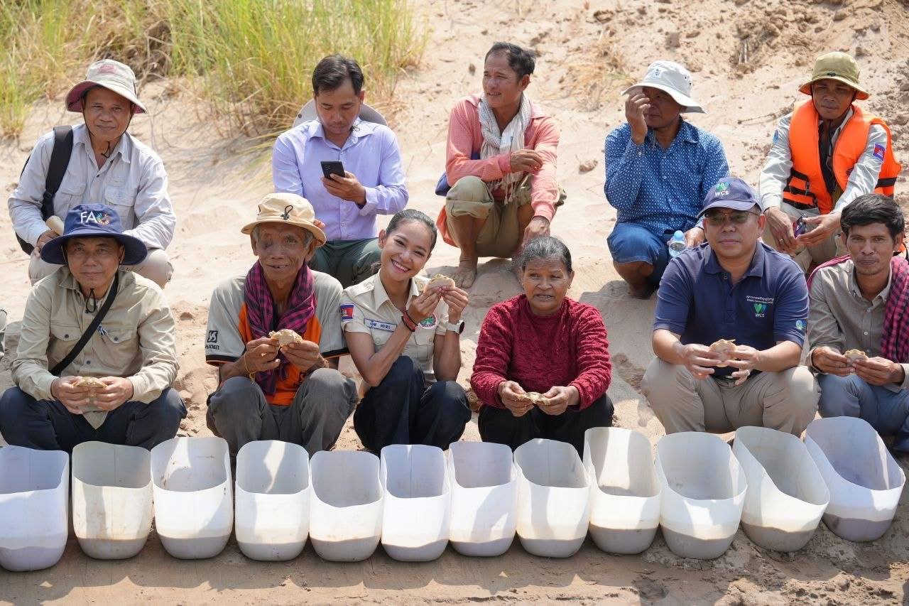 សត្វកន្ធាយក្បាលកង្កែបដ៏កម្រចំនួន១៥ក្បាលត្រូវបានលែងចូលទៅក្នុងដែនទឹកធម្មជាតិ