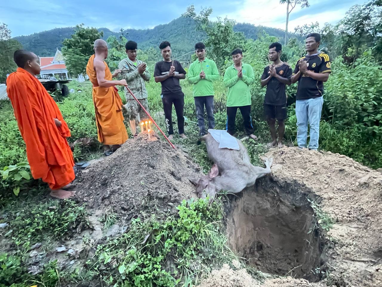 ការសម្លាប់ឬការបរបាញ់សត្វព្រៃនៅកម្ពុជា ត្រូវផ្តន្ទាទោសយ៉ាងធ្ងន់ធ្ងរតាមផ្លូវច្បាប់