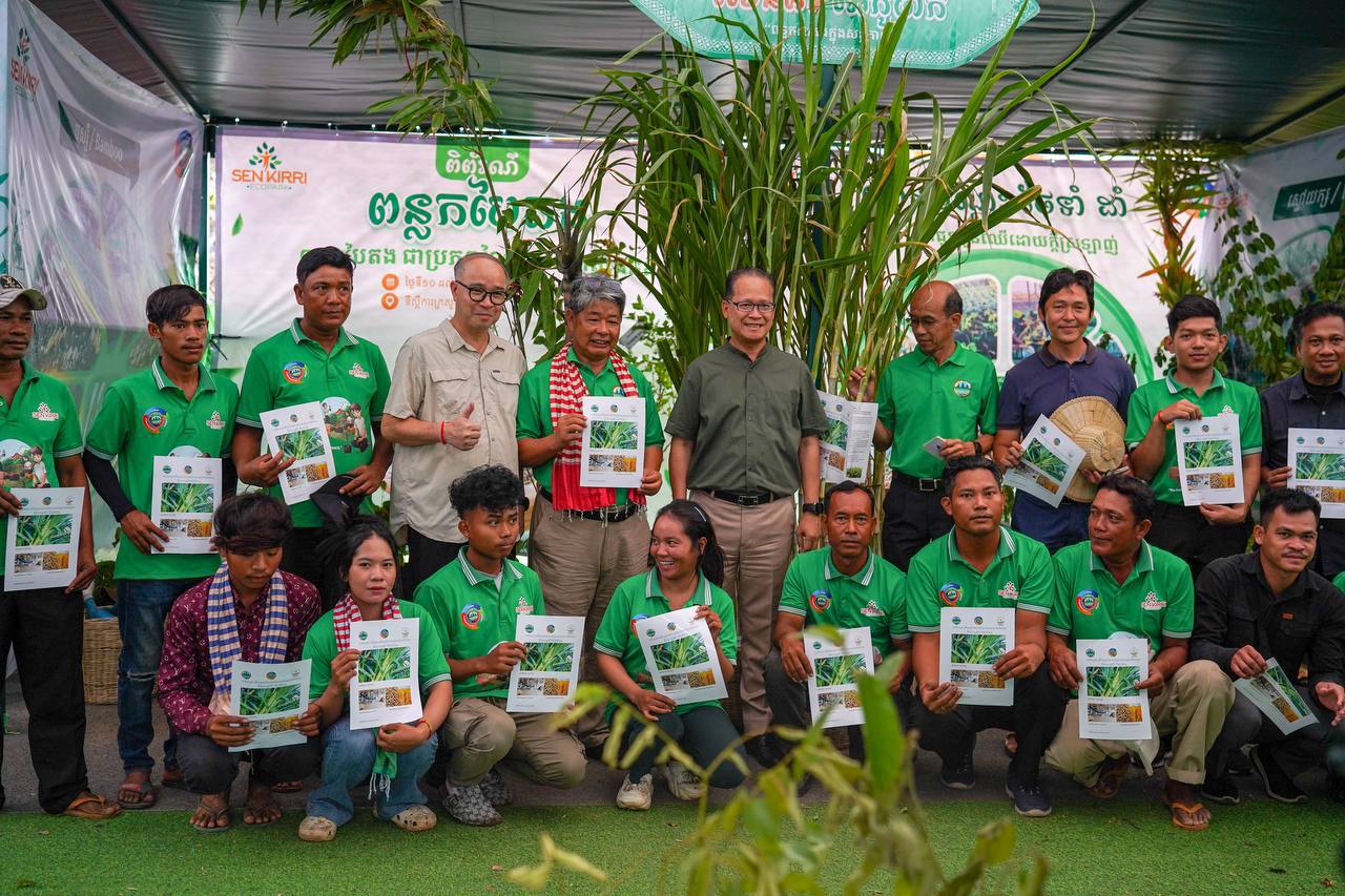 ស្មៅយក្ស៖ របរថ្មីផ្តល់ចំណូលខ្ពស់ដល់កសិករ