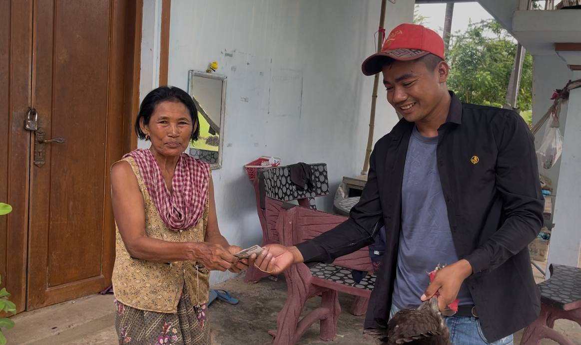 របរចិញ្ចឹមមាន់ស្រែតាមផ្ទះ បង្កើនចំណូលគ្រួសារ និងបង្កើតការងារនៅមូលដ្ឋាន