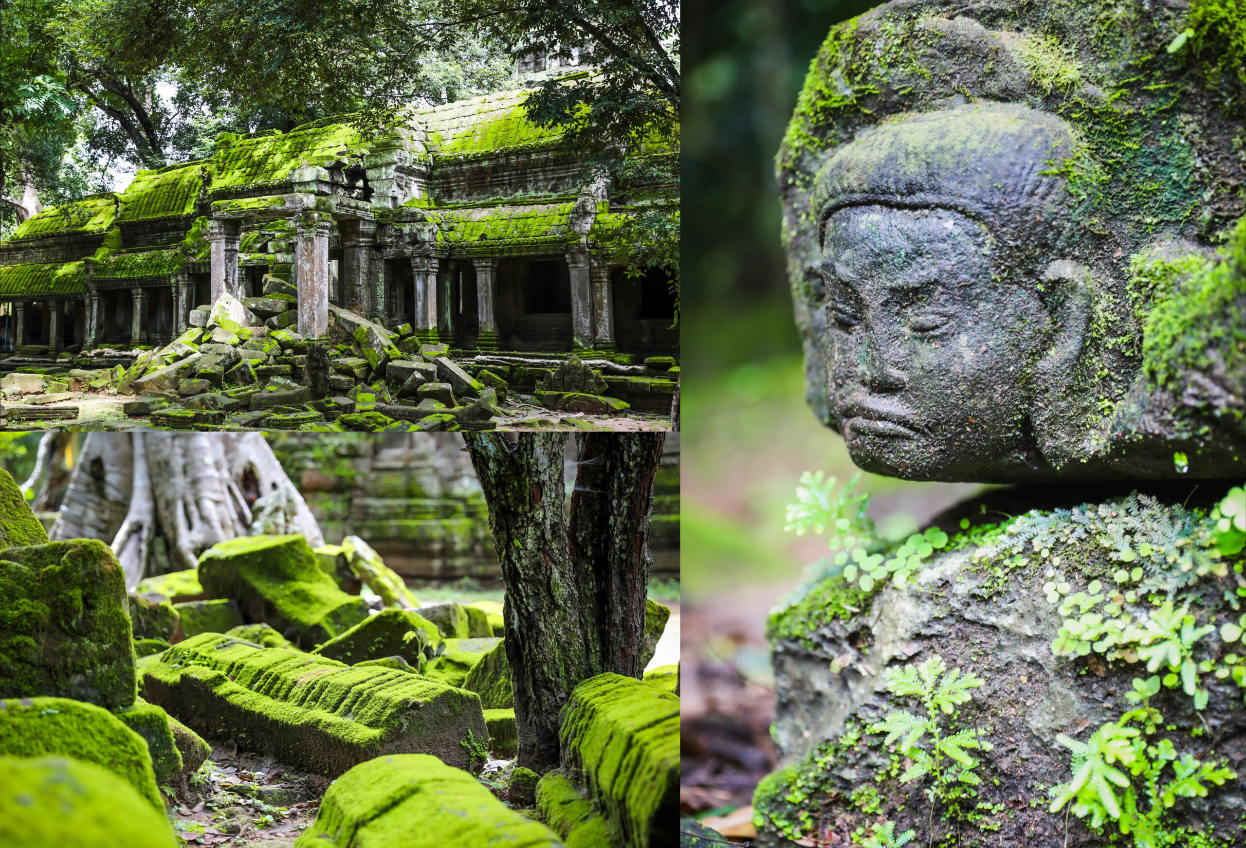 ស្លែពណ៌បៃតងប្រៀបដូចត្បូងមរកត បង្កើនសោភណភាព ប្រាសាទឱ្យកាន់តែមានមន្តស្នេហ៍
