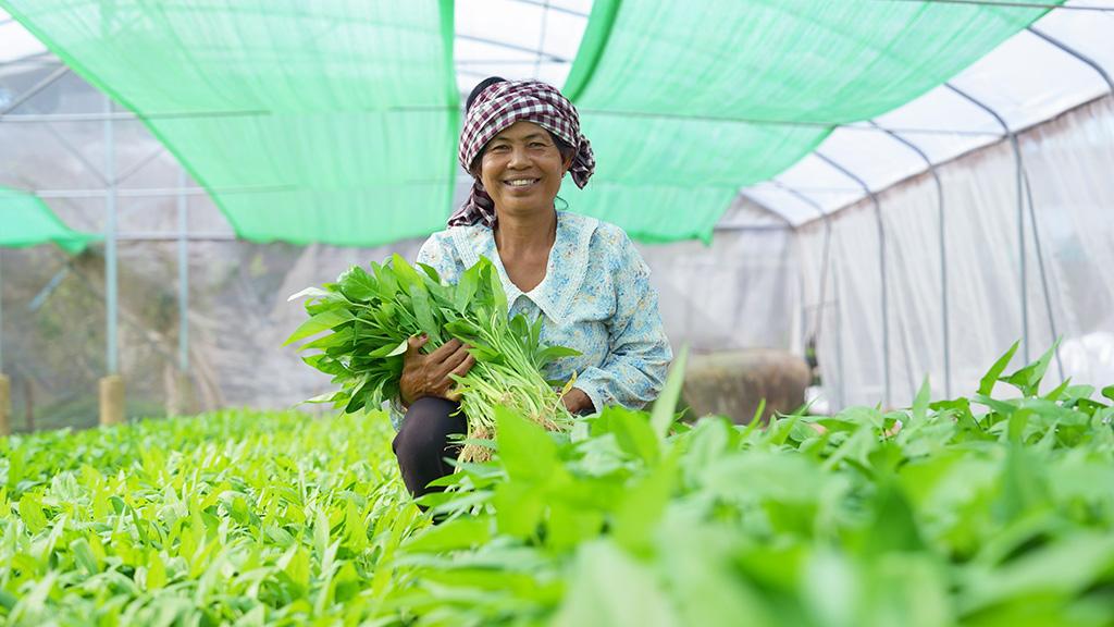 ADB អនុម័តថវិកា ៧២លានដុល្លារ ជួយពង្រឹងកសិកម្មជនបទ និងលើកកម្ពស់ស្ត្រីកសិករខ្នាតតូច២០ម៉ឺននាក់នៅកម្ពុជា