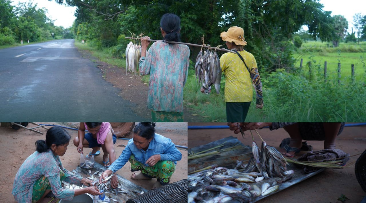 អ្នកស្រុកគូលែនរក្សាប្រពៃណីរែកត្រីដើរលក់តពីដូនតាមក