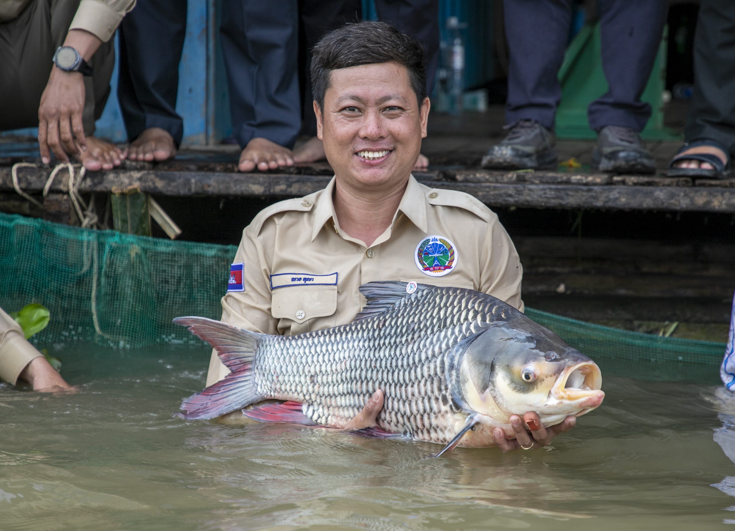 ត្រីកម្រជិតផុតពូជចំនួន ៤ប្រភេទសរុបជាង១០០ក្បាលត្រូវបានលែងចូលទឹកទន្លេវិញ