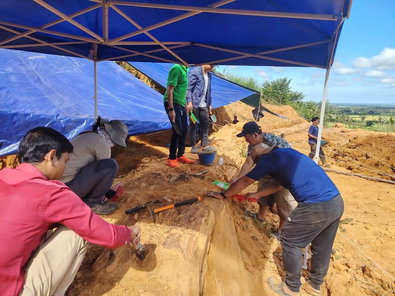 មន្ត្រីជំនាញក្រសួងបរិស្ថានចុះសិក្សាស្រាវជ្រាវផូស៊ីលឈើនៅខេត្តស្ទឹងត្រែង ដើម្បីពង្រឹងការអភិរក្សបេតិកភណ្ឌធម្មជាតិ