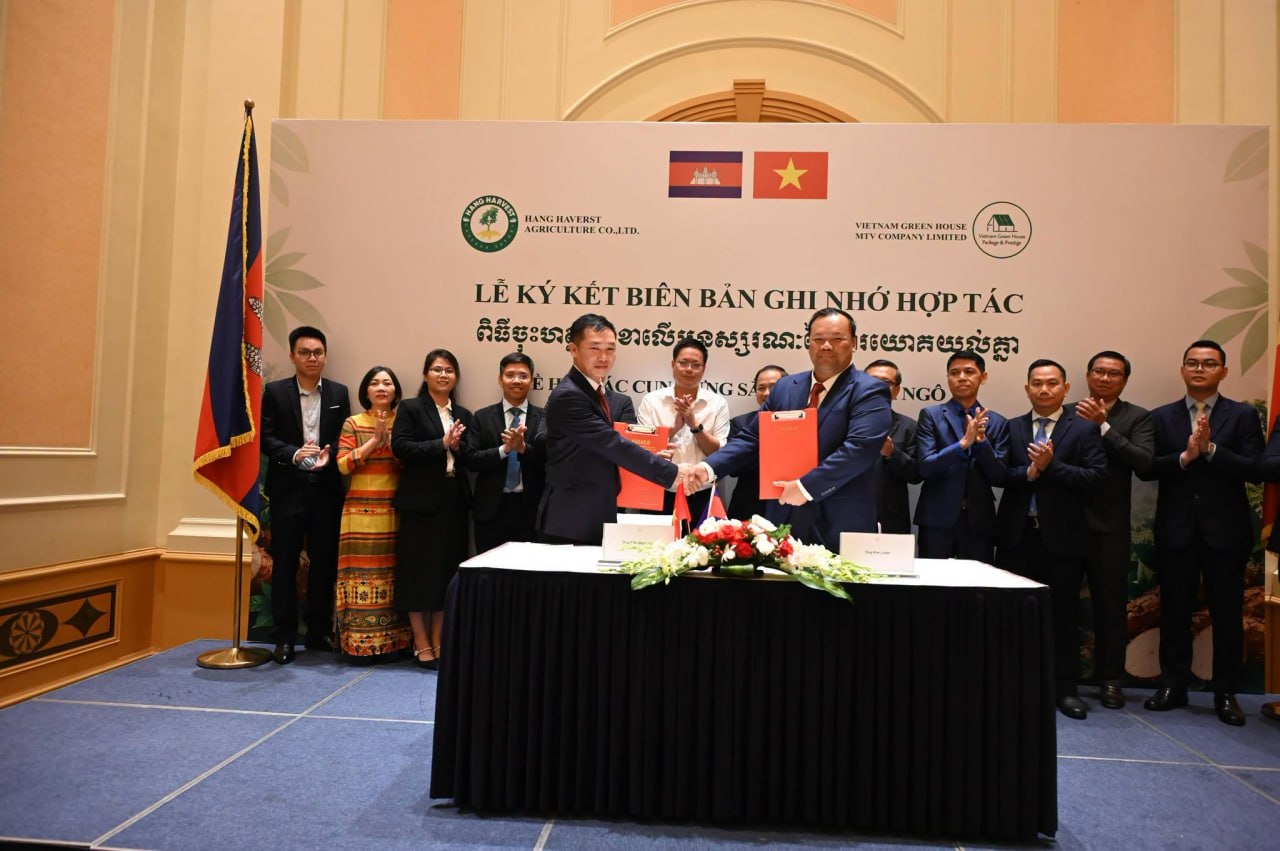 ក្រុមហ៊ុនវៀតណាមមួយចុះកិច្ចព្រមព្រៀងទិញដំឡូងមីក្រៀម និងពោតចំនួន៤០ម៉ឺនតោនពីកម្ពុជា